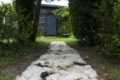 Sheep-wool-path